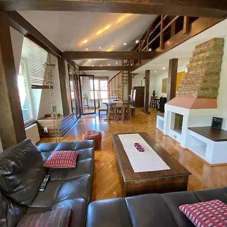 Apartment Penthouse Pensiunea Casa Bono