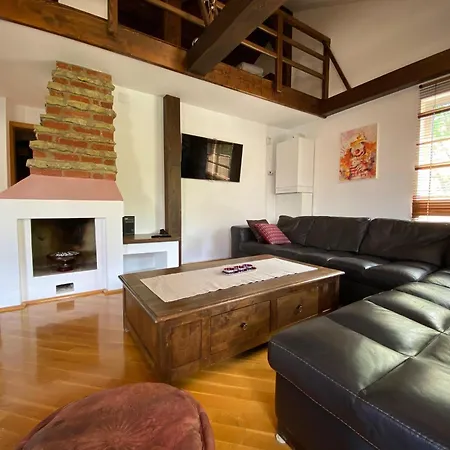Penthouse Pensiunea Casa Bono Apartment *