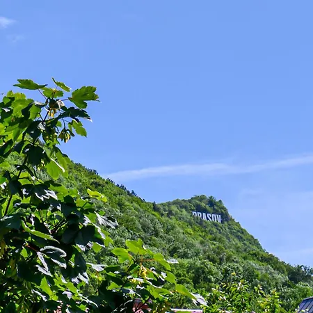 Penthouse With Panoramic Mountain & City View Апартаменты Брашов