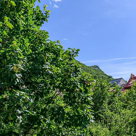 Апартаменты Penthouse With Panoramic Mountain & City View