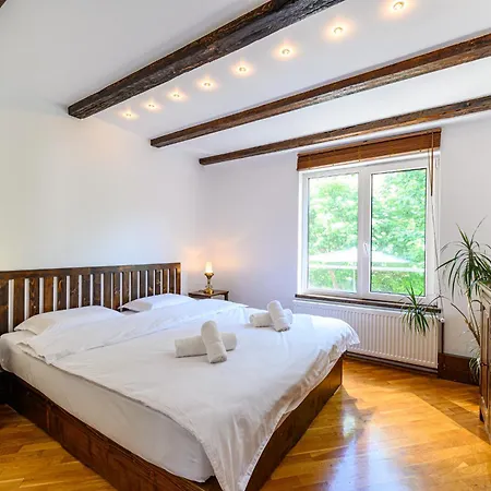 Apartment Penthouse Pensiunea Casa Bono