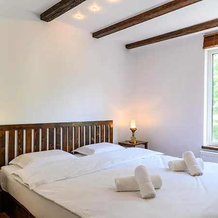 Penthouse Pensiunea Casa Bono Appartement Braşov