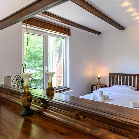 Penthouse Pensiunea Casa Bono Appartement