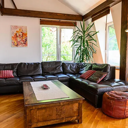 Penthouse Pensiunea Casa Bono Appartement *