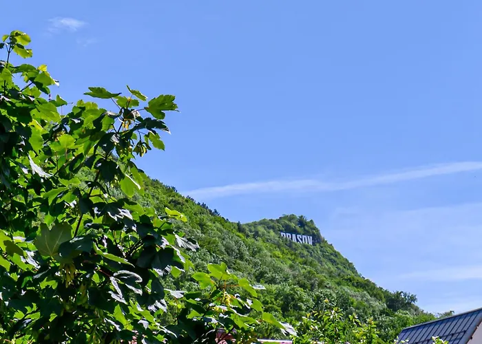 & Penthouse Apartment Brasov