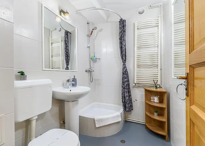 & Penthouse Apartment Brasov