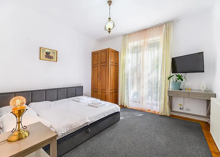 & Penthouse Apartment Brasov